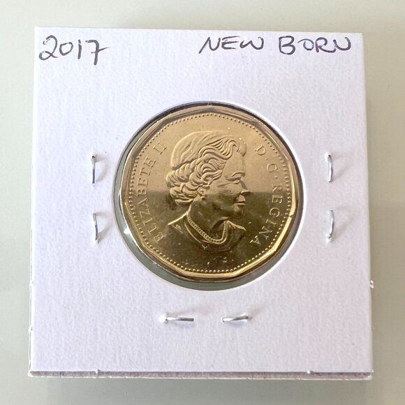2017 O Canada, Wedding, Birthday, Newborn & Peace and Joy Special Strike Loonies - Picture 10 of 13